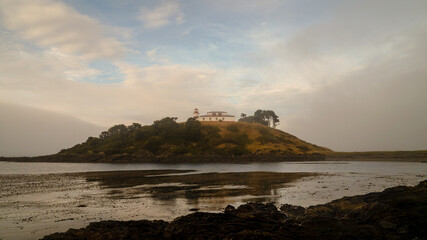 Misty ocean and tree landscape on a rainy day at Cape Froward on the Magellan Strait near Punta...