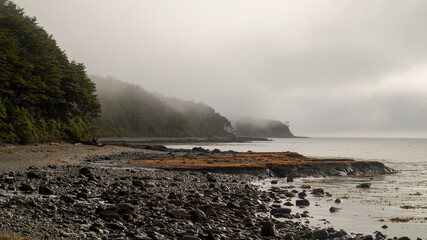 Misty ocean and tree landscape on a rainy day at Cape Froward on the Magellan Strait near Punta Arenas in Chile's Patagonia region.