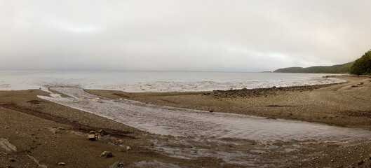 Misty ocean and tree landscape on a rainy day at Cape Froward on the Magellan Strait near Punta...