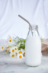 Glass bottle with milk and cocktail straws on a white concrete background. Camomile flowers in the background. The concept of home and healthy eating.