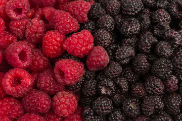 Fresh black and red raspberry isolated on white background. Berry in close-up