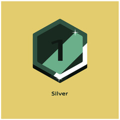 Silver Badge 1