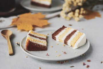 Two pieces of striped homemade cake with ricotta creme in a plate on a table