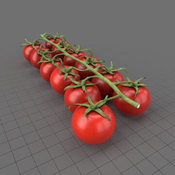 Cherry tomato branch