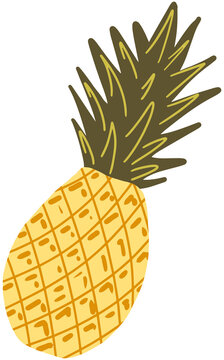 Ananas clipart hand drawn childish flat style isolated on white background.