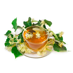 Linden blossoms with cup of tea isolated on a white background.