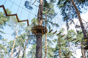 Rope park with coniferous forest. Summer time. View from below.