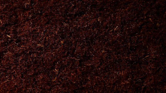 footage of dry tobacco background 