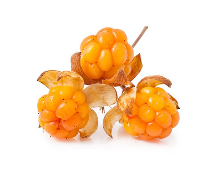 Cloudberry isolated on a white background.
