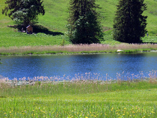 The smaller lake Schwendisee (Hinter Schwendisee) in the Obertoggenburg region, Wildhaus - Canton...