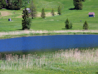 The smaller lake Schwendisee (Hinter Schwendisee) in the Obertoggenburg region, Wildhaus - Canton...