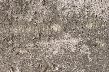 Rought Grey Concrete Texture with Cracks, Bumps and Recesses