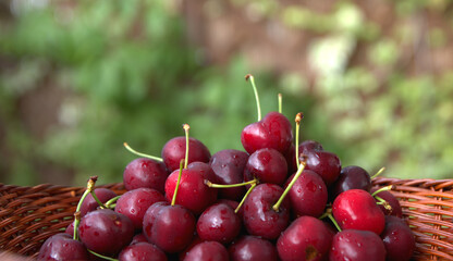 
cherries , fresh, colorful, crunchy, delicious