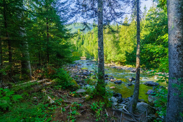 Sainte-Anne-du-Nord River, in Gaspesie National Park