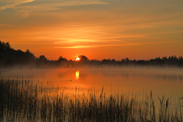 Obraz premium Sonnenaufgang am Staffelsee