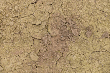 Risse im Boden durch Trockenheit und Dürre