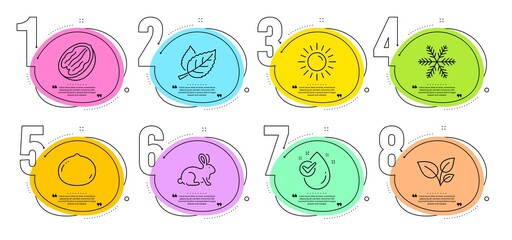 Water drop, Leaves and Pecan nut signs. Timeline steps infographic. Snowflake, Macadamia nut and Animal tested line icons set. Sun, Leaf symbols. Air conditioning, Vegetarian food. Nature set. Vector