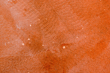 Fototapeta premium concrete floor with protection layer, orange background with structure