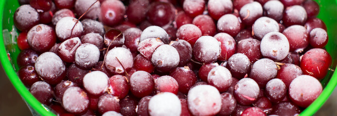 red frozen berries covered with ice and ice, red currants, lingonberries, cranberries, vitamins in winter. view from above. macro