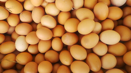 close up of brown eggs