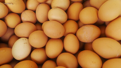 close up of brown eggs