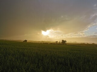 sunset in the field