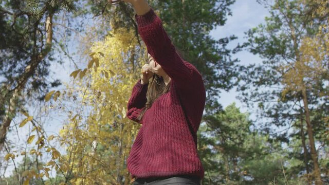 Attractive young female in red knitted jumper smiling happily and gesticulating while taking photos in sunlit autumn forest. Low angle 4K 360 degree tracking arc shot.