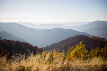 Fototapeta na wymiar Autumn in mountains panorama view sunny day pine 