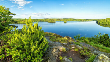 Swedish lake in early summer season
