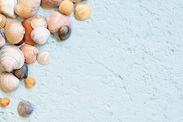 Seashells on the blue textured background