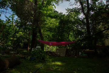 Backyard hammock oasis 