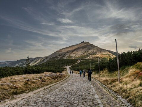 Runa Images – Browse 3,823 Stock Photos, Vectors, and Video