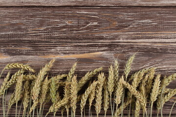 Close up of rye ears, on natural wooden table with copyspace for your text. Sustainable and smart agriculture concept