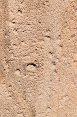 Sandstone background. Front view. Close up.