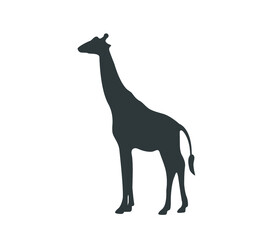 Giraffe icon. Simple vector giraffe illustration. 
