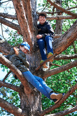 Naklejka na ściany i meble Girl and boy playing outdoor, climbing a tree, bright sunlight, beautiful day
