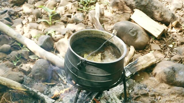 Cooking Fish in Pot on Campfire