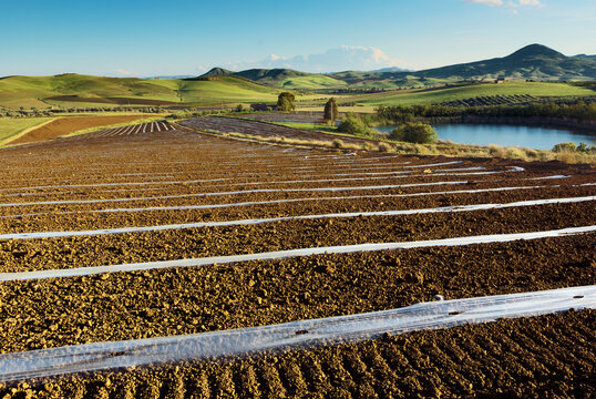 Field Landscape Of Sicily Mediterranean Agriculture With Mulch Film And Farm Pond