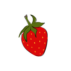 Strawberry icon vector illustration on white background