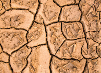 Сracked dry brown earth, dry ground surface, abstract texture background. Dehydrated land, drought.