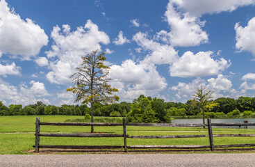 Public Park Landscape: Landscape capture of Alabama Shakespeare Festival Park in Montgomery, Alabama.