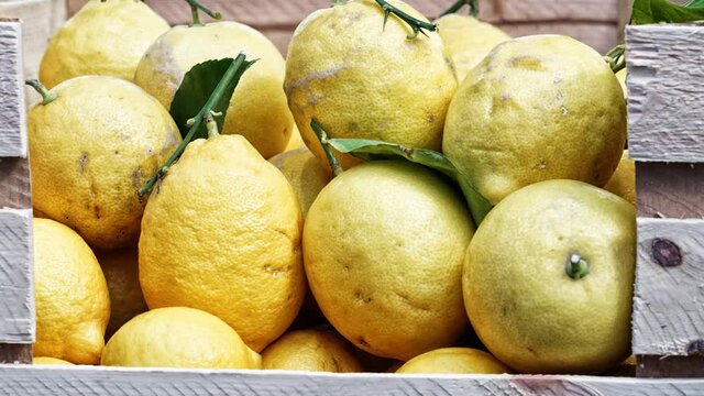 Verschiedene gesunde Obst und Gem&uuml;se.