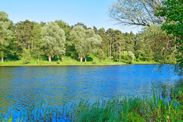 Beautiful view of the forest and lake