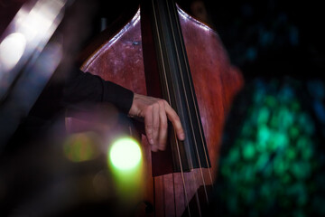 Double-bass fragment in jazz concert stage