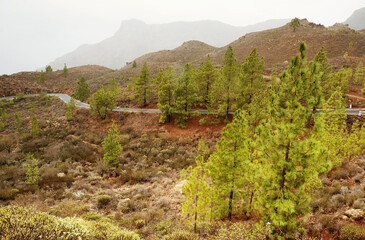 Parque Natural de Pilancones in Gran Canaria, Canary Islands, Spain