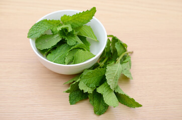 Mint leaves herb