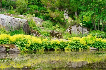 黄色い花に彩られた景観