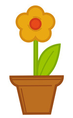 Flower growing in pot, flourishing of potted flower