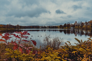 autumn in the park