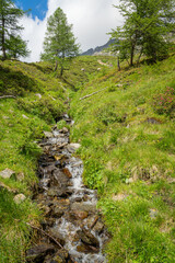 Bachlauf in Südtirol